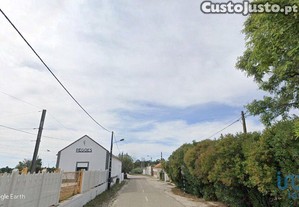 imagem_1