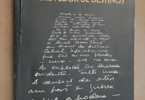 "Escrevedor de Destinos" de Nelson Saúte