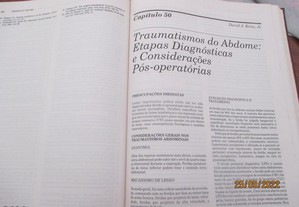 imagem_7