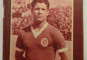 Colecção Ídolos do Desporto, Nº 67 - CALADO, O ídolo que já nasceu Benfica