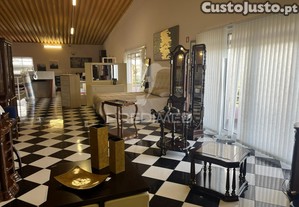 imagem_20