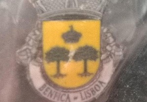 Pin da Freguesia de Benfica