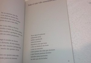 imagem_5