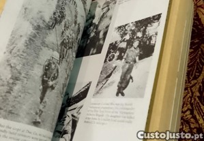 imagem_4