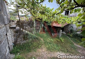 imagem_21