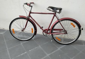 Bicicleta Pasteleira Sangal Modelo Sport