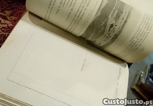 imagem_7