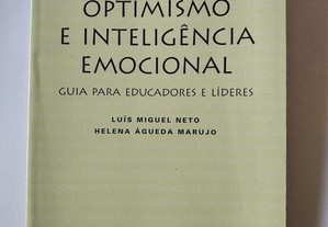 Optimismo e inteligência emocional - Luís Miguel N