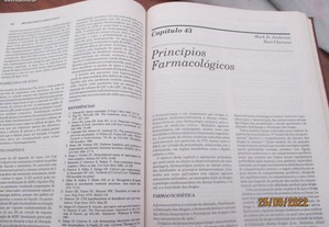 imagem_6