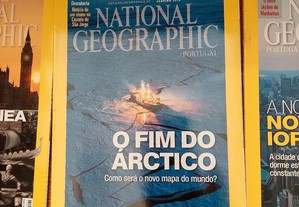 imagem_6