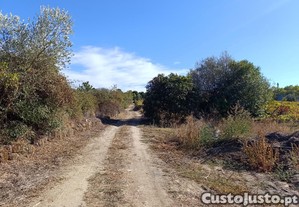imagem_4