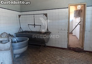 imagem_7