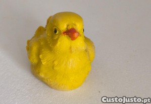 imagem_1