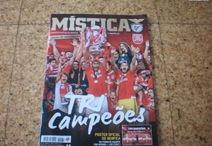 imagem_4