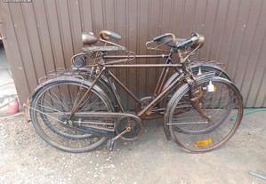 Bicicletas pasteleiras DIANA e SIERA De LUXO