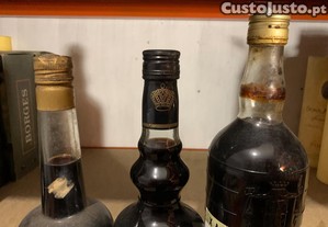 imagem_3