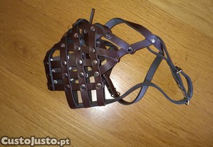 Aaime co de porte medio/grande
