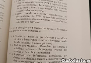 imagem_7