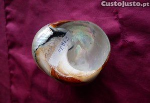 imagem_4