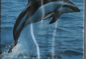 Dvd O Lado Selvagem dos Golfinhos - documentário - selado - extras