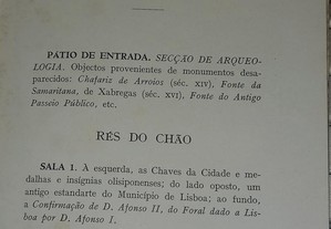 imagem_3