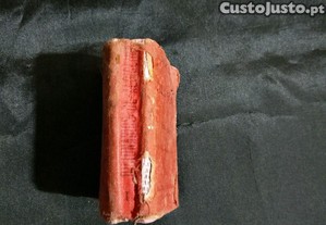 imagem_2