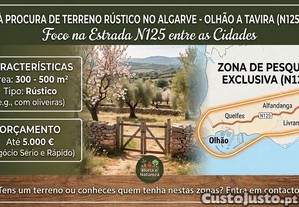 Terreno rústico entre Olhão e Tavira