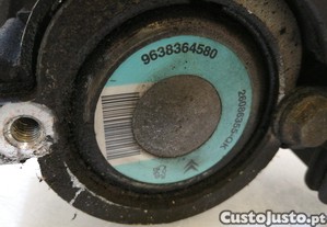 imagem_3