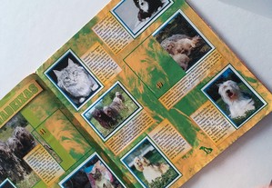 imagem_3