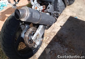 imagem_2