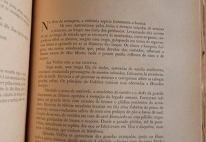 imagem_7