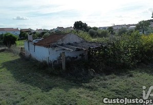 imagem_24