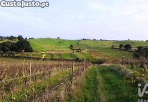 imagem_7