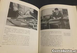 imagem_8