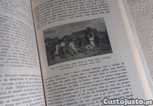 imagem_4