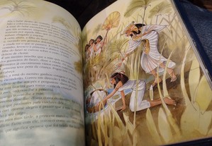 imagem_3
