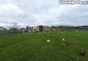 Quintinha para investimento na serra, casa de alvenaria em pedra com grande quintal