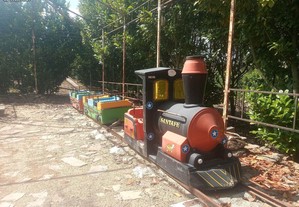 Carrossel comboio antigo