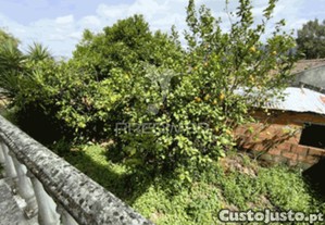 imagem_16