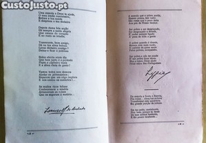 imagem_9