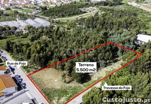 Terreno Com 5500 M2 Para Construção De 11...