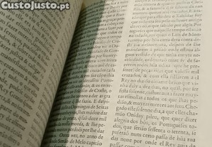 imagem_6