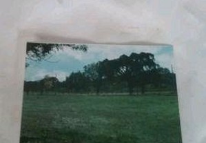 imagem_2
