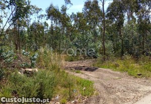 Terreno Florestal 20000 M2 Em Vilarinho Das Cambas