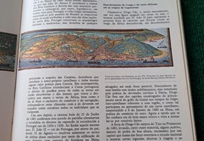 imagem_7