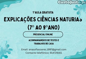 imagem_1