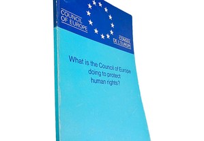 What is the Council of Europe doing to protect human rights?