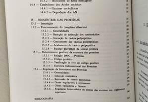 imagem_14