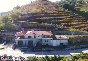 2 Moradias c/ vinha - Vista para Douro