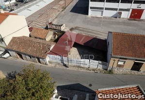 imagem_15